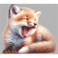 Animal Integration-DW 1883